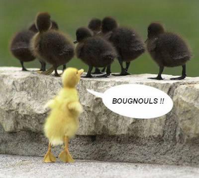 bougnouls!!